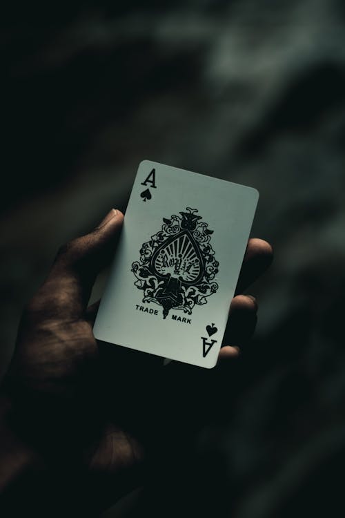 Casino-1345
